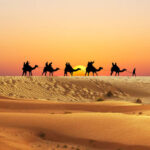 Tourists on camels in Desert of Morocco at sunset